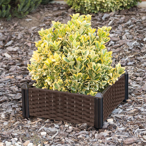 11535 • Műanyag virágosláda - rattan - tetszés szerint variálható - 39 x 39 x 22 cm