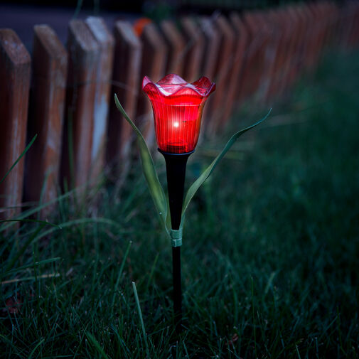11750 • LED-es szolár tulipánlámpa - sárga / piros / rózsaszín - 31 cm - 24 db / kínáló