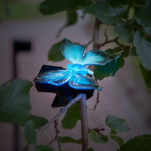 11753 • Szolár dekoráció csipesszel - katica, pillangó, méhecske - 11 x 6,5 x 10 cm - fehér LED