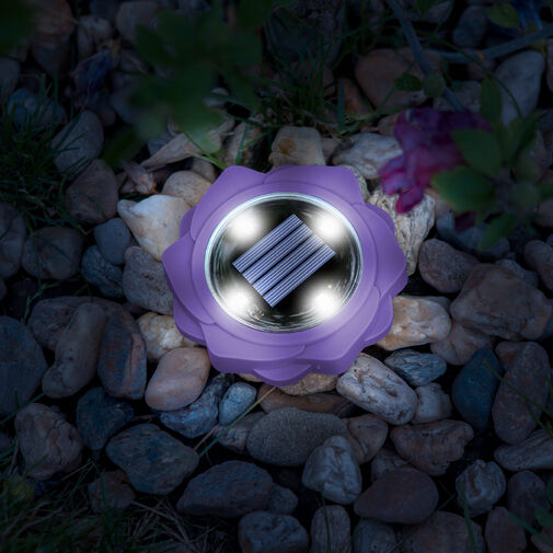 11767C • LED-es leszúrható szolár lámpa - lila - hidegfehér - 11,5 x 2,3 cm
