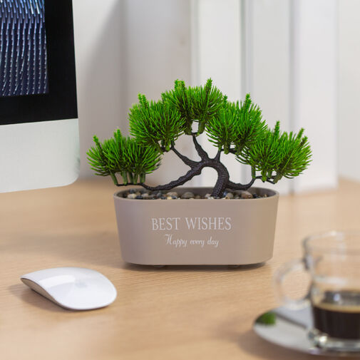 11824 • Műnövény dekoráció - bonsai - 20 x 9 cm