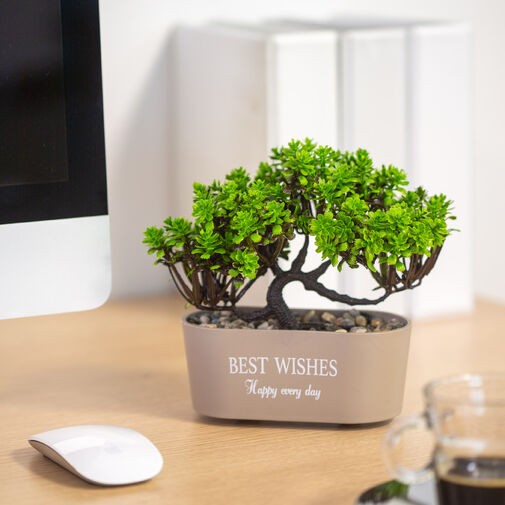 11825 • Műnövény dekoráció - bonsai - 19 x 13 cm - 4 féle