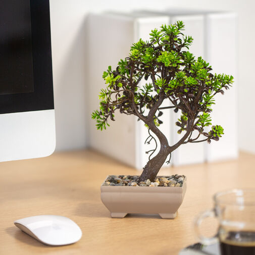 11834 • Műnövény dekoráció - bonsai - 18 x 24 cm - 4 féle