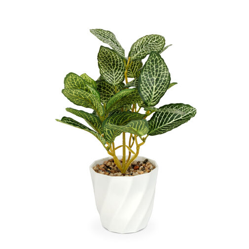 11890A • Műnövény dekoráció - fittonia - 20 x 9 cm