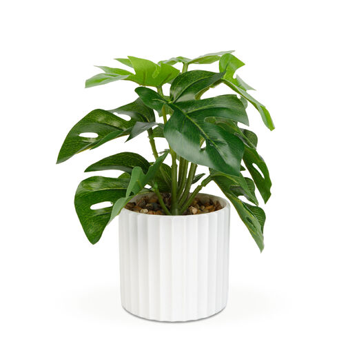 11892A • Műnövény dekoráció - filodendron - zöld - 20 x 8 cm