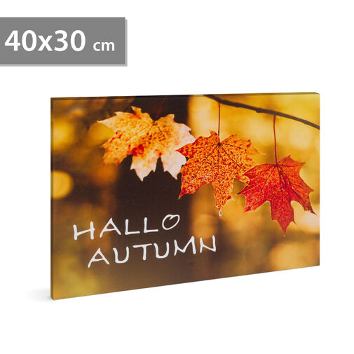 58502 • LED-es fali hangulatkép - 