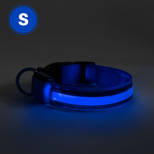 60027A • LED-es nyakörv - akkumulátoros - S méret - kék