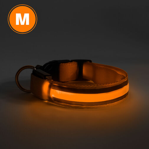 60028C • LED-es nyakörv - akkumulátoros - M méret - narancs